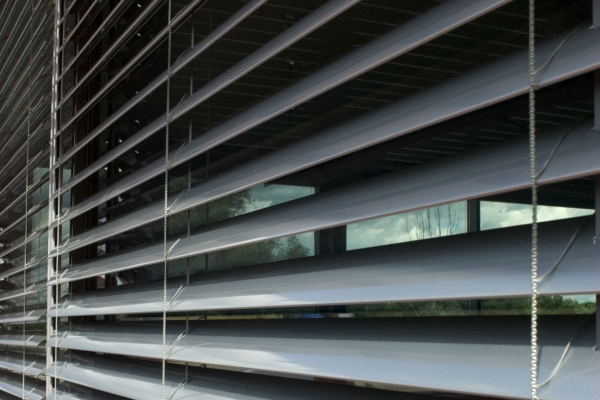 venetian-blinds-20F9F38C78-CAE8-97D7-7B33-AB0CA1792D70.jpg